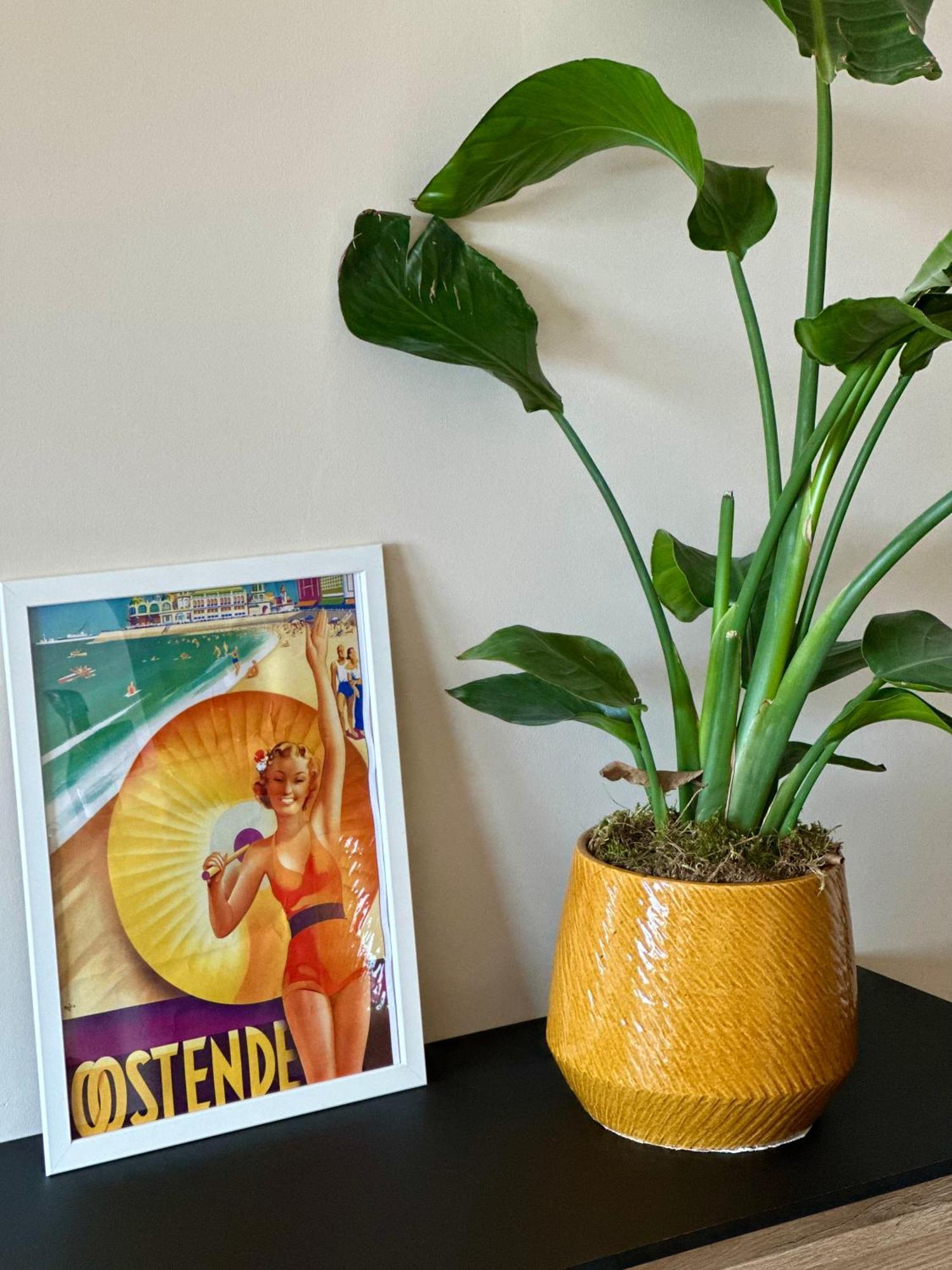 Studio By Aimee - 20M From The Beach & In City Centre! Ostende Kültér fotó